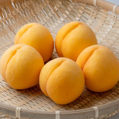 ご家庭用　岡山県産黄金桃1.5kg(5～6玉)