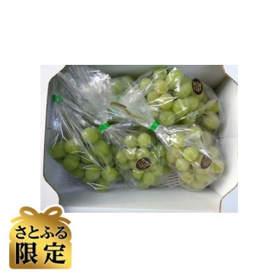 【さとふる限定】シャインマスカット計2kg　岡山市北区建部町産
