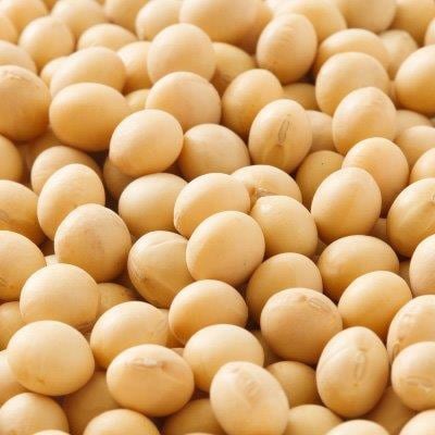 岡山みそ　750g　6個入り