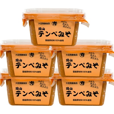 ＜味噌の名わき役＞岡山テンペみそ　300g　5個入り