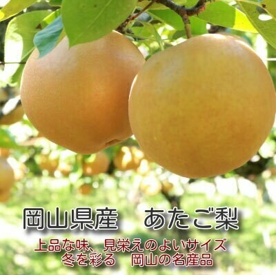 岡山県産　あたご梨　2玉(1玉約750g)