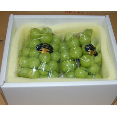 【発送月固定定期便】岡山白桃6玉(1.6kg)+シャインマスカット晴王2房(1房600g以上)全2回