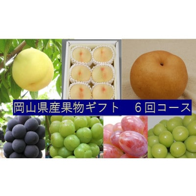 【発送月固定定期便】桃、ぶどう、梨　岡山県産果物ギフト全6回
