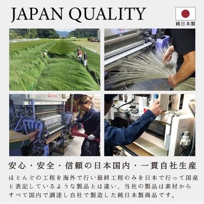 岡山県岡山市産　置き畳　小春　9枚セット