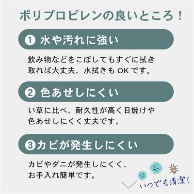 岡山県岡山市産　樹脂製 畳マット 悠久 サイズ:ダブル　カラー:ミックスベージュ