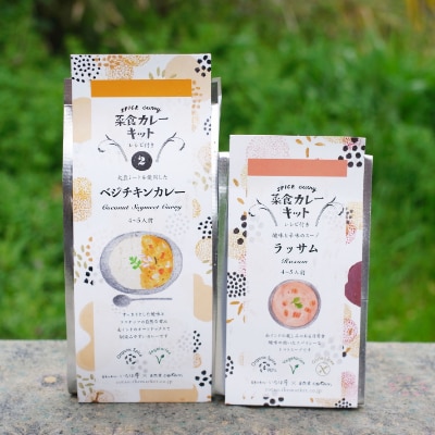 初級編B　菜食カレーキット2個セット(ベジチキンカレー&ラッサム)