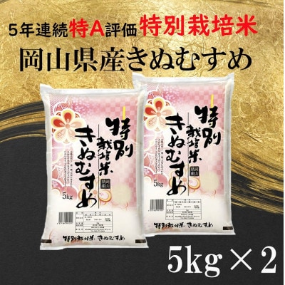 5年連続特A評価【令和3年産】岡山県産特別栽培米きぬむすめ10kg(5kg×2)