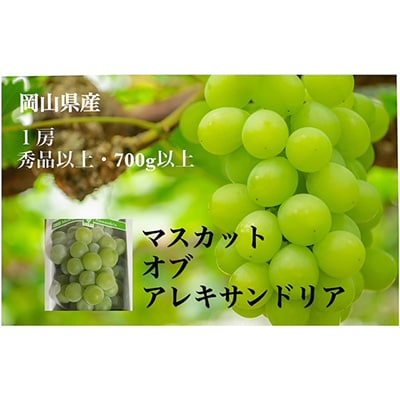 岡山県産　マスカットオブアレキサンドリア 1房 (700g以上・秀品以上)化粧箱入り