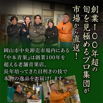岡山県産　マスカットオブアレキサンドリア 1房 (700g以上・秀品以上)化粧箱入り