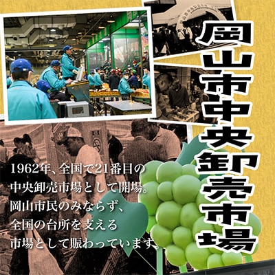 岡山県産　マスカットオブアレキサンドリア 1房 (700g以上・秀品以上)化粧箱入り