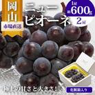 岡山県産　ニューピオーネ 2房 (1房600g以上)　化粧箱入り