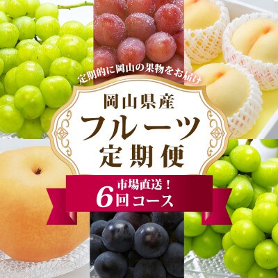 【発送月固定定期便】岡山県産 フルーツ定期便全6回