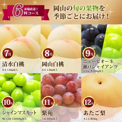 【発送月固定定期便】岡山県産 フルーツ定期便全6回