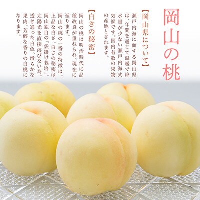 【発送月固定定期便】岡山県産 フルーツ定期便全6回