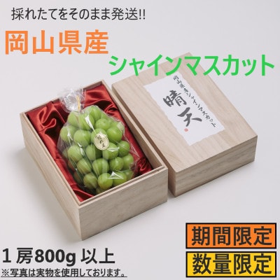岡山県産 晴天 シャインマスカット 800g以上