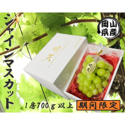 岡山県産 晴天 シャインマスカット　700g以上×1パック