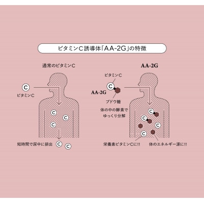 プロビタC　顆粒　60包入り　10箱セット