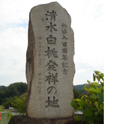 岡山市　一宮産　清水白桃　6～8玉入り　2キロ