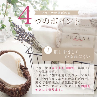使い捨て布ナプキン FREENA フリーナ(テープなし)大容量120枚入
