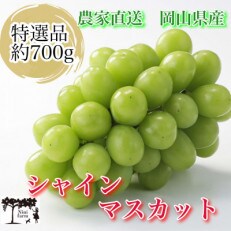 【2023年9月中旬以降発送】農家直送　特選品1房詰約700g　岡山県産　高品質シャインマスカット　 | ふるさと納税のお礼品