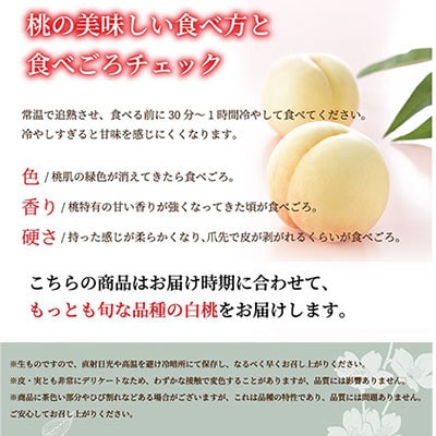 岡山白桃 ロイヤル 5～10玉 2kg 岡山県産