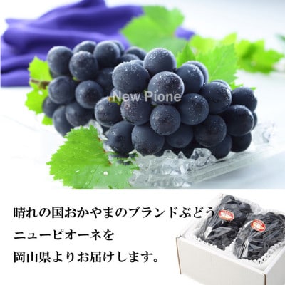 【2023年6月下旬より発送】岡山県産 ニューピオーネ 500g×2房
