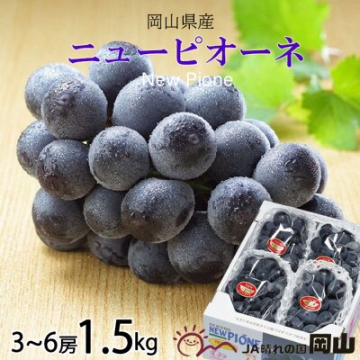 【2025年6月下旬より発送】岡山県産　ニューピオーネ　1.5kg(3房～6房)