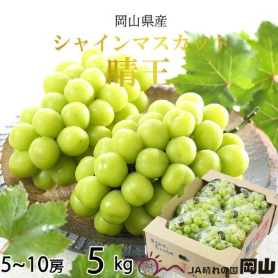 岡山県産　シャインマスカット　晴王　5kg(5房～10房)