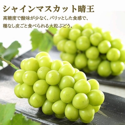 岡山県産　岡山白桃ロイヤルLサイズ200g×2玉・シャインマスカット晴王400g×1房　詰合せ