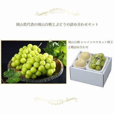 岡山県産　岡山白桃ロイヤルLサイズ200g×2玉・シャインマスカット晴王400g×1房　詰合せ