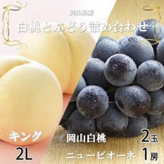 岡山県産 岡山白桃キング2Lサイズ250g&times;2玉・ニューピオーネ500g&times;1房 詰合せ