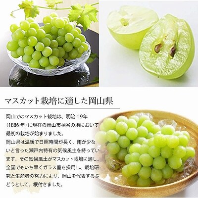 岡山県産 マスカット・オブ・アレキサンドリア 750g×1房