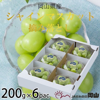 岡山県産　シャインマスカット　摘み落とし　200g×6パック