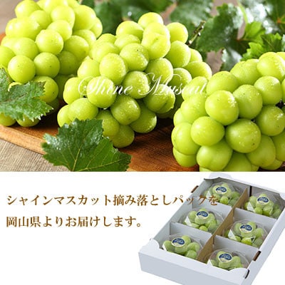 岡山県産　シャインマスカット　摘み落とし　200g×6パック