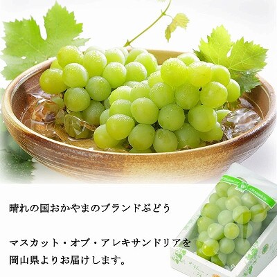 【2025年8月下旬より発送】岡山県産　マスカット・オブ・アレキサンドリア　600g×1房