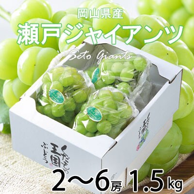 岡山県産　瀬戸ジャイアンツ　1.5kg(2房～6房)
