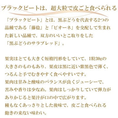 岡山県産　ブラックビート　600g×2房