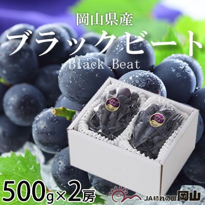 岡山県産　ブラックビート　500g×2房