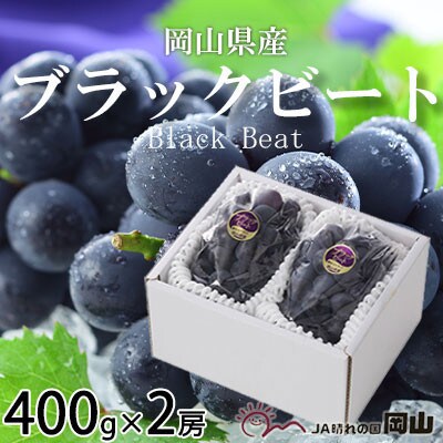 岡山県産　ブラックビート　400g×2房