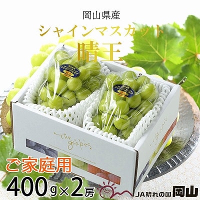 【2025年8月下旬より発送】ご家庭用　岡山県産　シャインマスカット　晴王　400g×2房