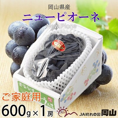 【2025年8月下旬より発送】ご家庭用　岡山県産　ピオーネ　600g×1房