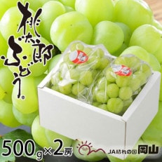 岡山県産 桃太郎ぶどう 500g&times;2房