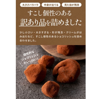 訳ありショコリッシュ 600g