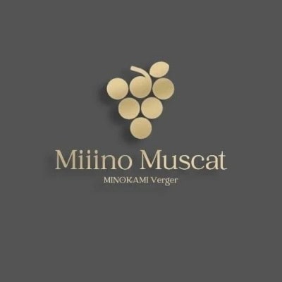 【2024年分】ブランドシャインマスカット『MiiinoMuscatプレミアム』2房 1.8kg以上