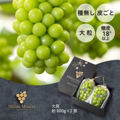 【2024年分】ブランドシャインマスカット『MiiinoMuscat』2房(1.6kg以上)