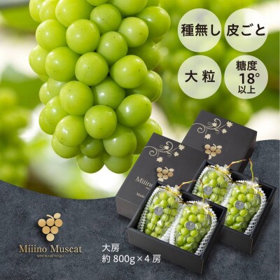 【2024年分】ブランドシャインマスカット『MiiinoMuscat』4房(3.2kg以上)