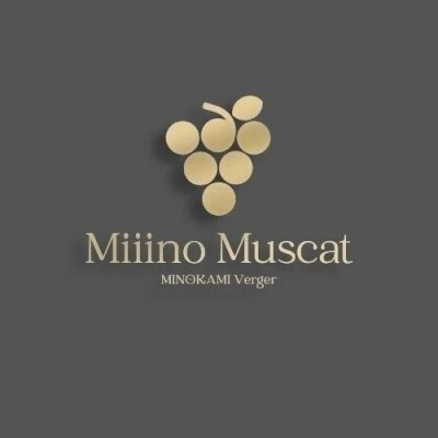 【2024年分】ブランドシャインマスカット『MiiinoMuscat』4房(3.2kg以上)