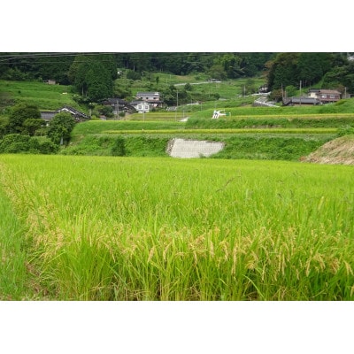 岡野ファーム　あきたこまち6キロ(3kg×2袋)精米