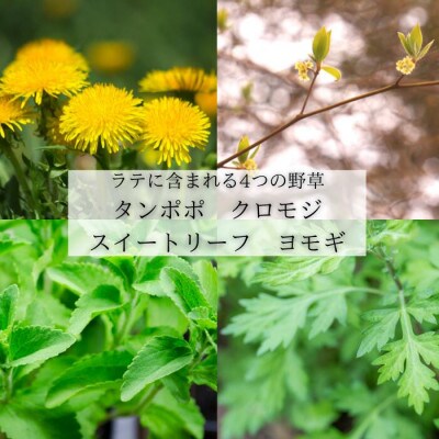 薬学博士が作った　野草茶ラテベース