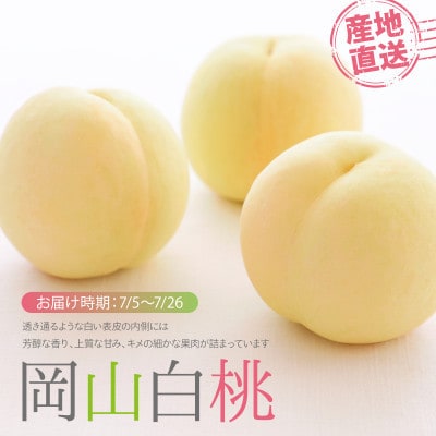 【7月発送】岡山白桃　約1.2kg(4～6玉)